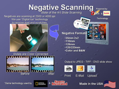 Slide 6